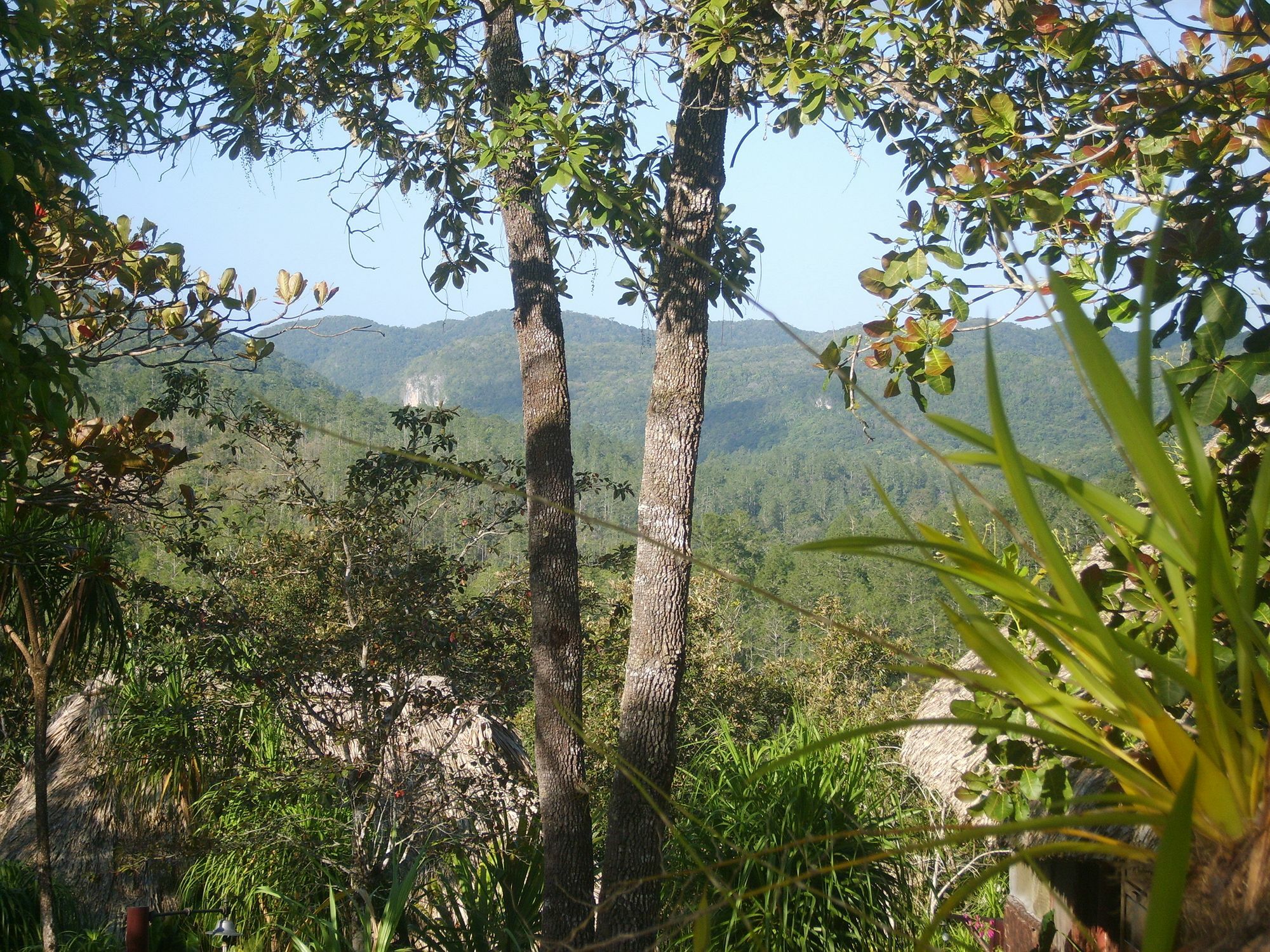 Gaia Riverlodge Unitedville Ngoại thất bức ảnh